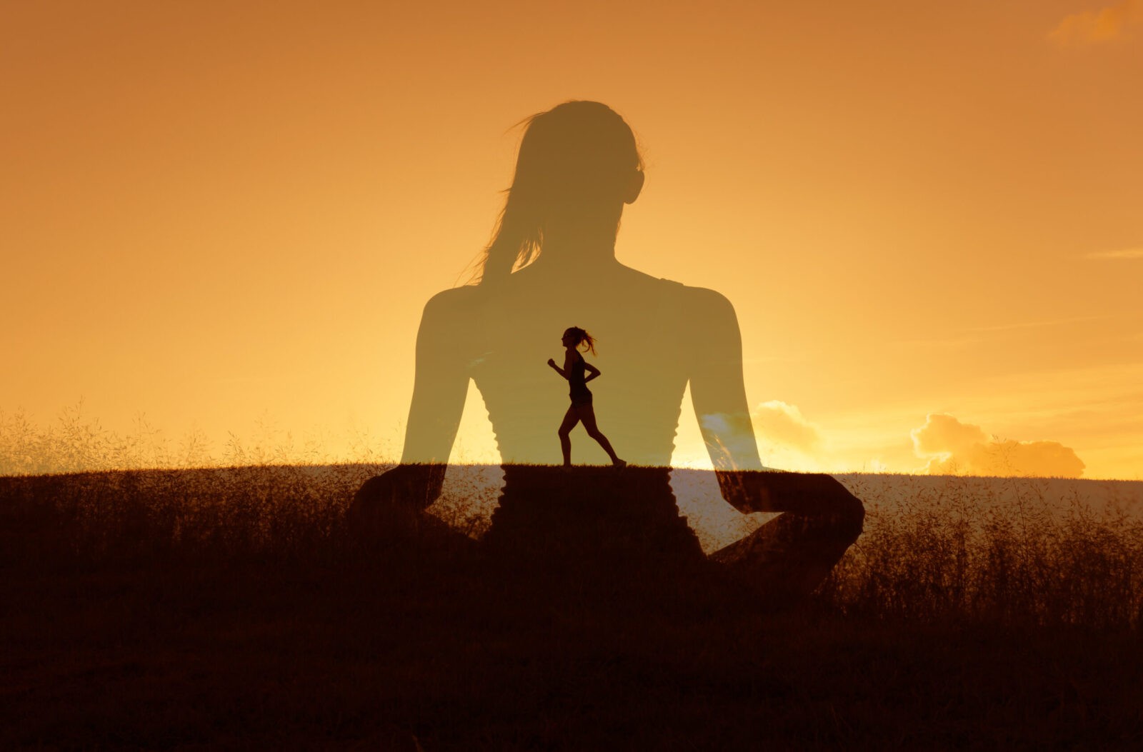 Psychiatric Services Houston